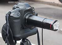Canon 1Ds  pinhole 