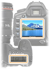     Canon EOS 5D